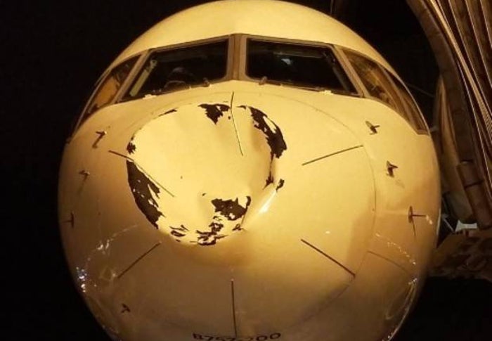 Delta Blames Bird for Dent in Oklahoma City Thunder Team Plane