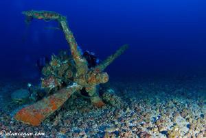 Navy Investigates Rare WWII Curtiss Helldiver Find