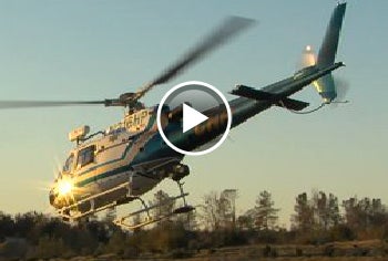 Helicopter Rescues Hiker from Mountain Lion