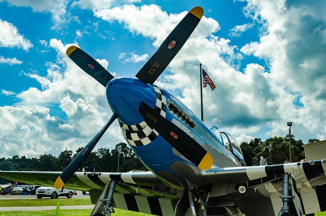 When Pigs Fly South: Warbird Fly-In