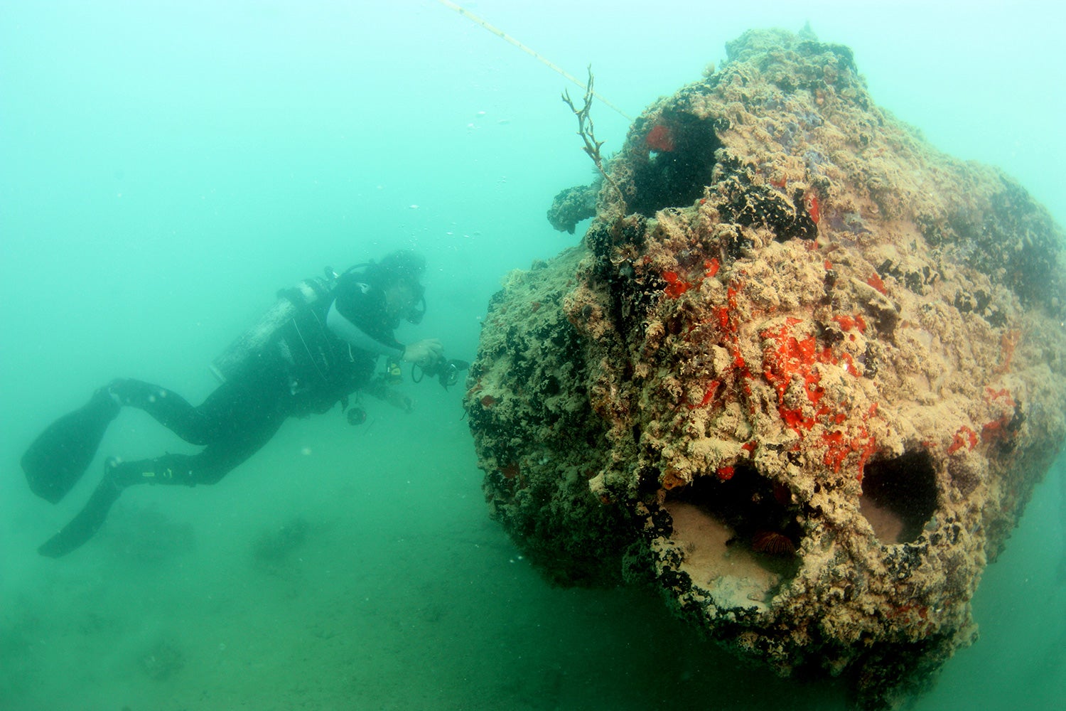 Photos: Divers Reveal Sunken Wreck of a PBY-5 Catalina