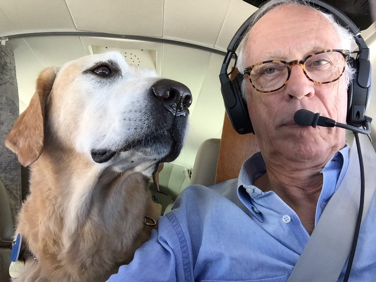 Rescue Dogs and Airplanes