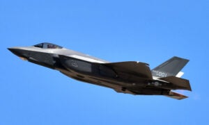 Bird Strike Blamed For F-35 Belly Landing In South Korea