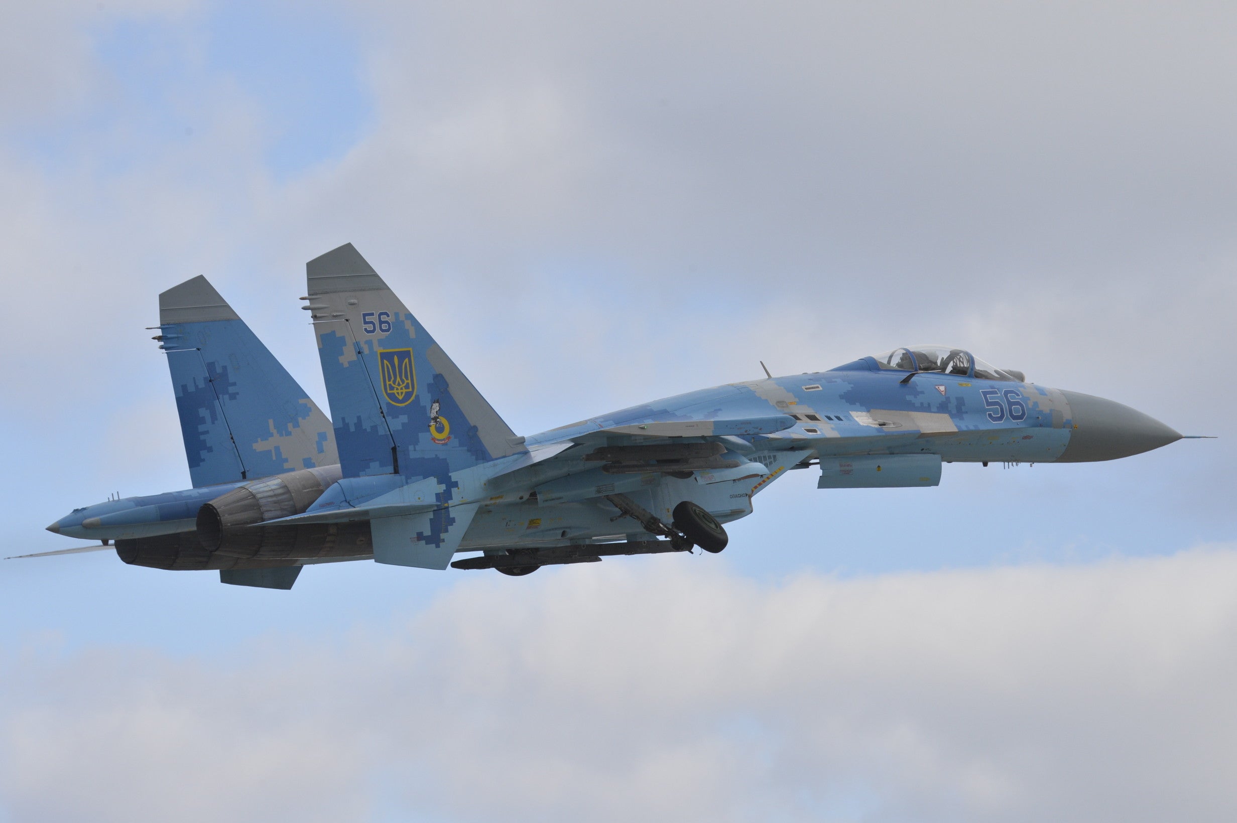 What the Ukrainian Air Force Has in the Sky
