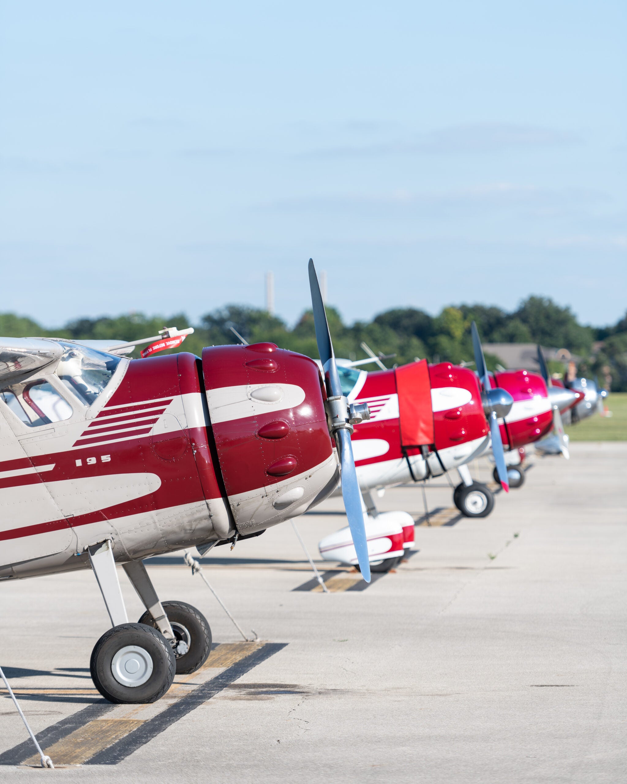Cessna 195s lined up on a runway