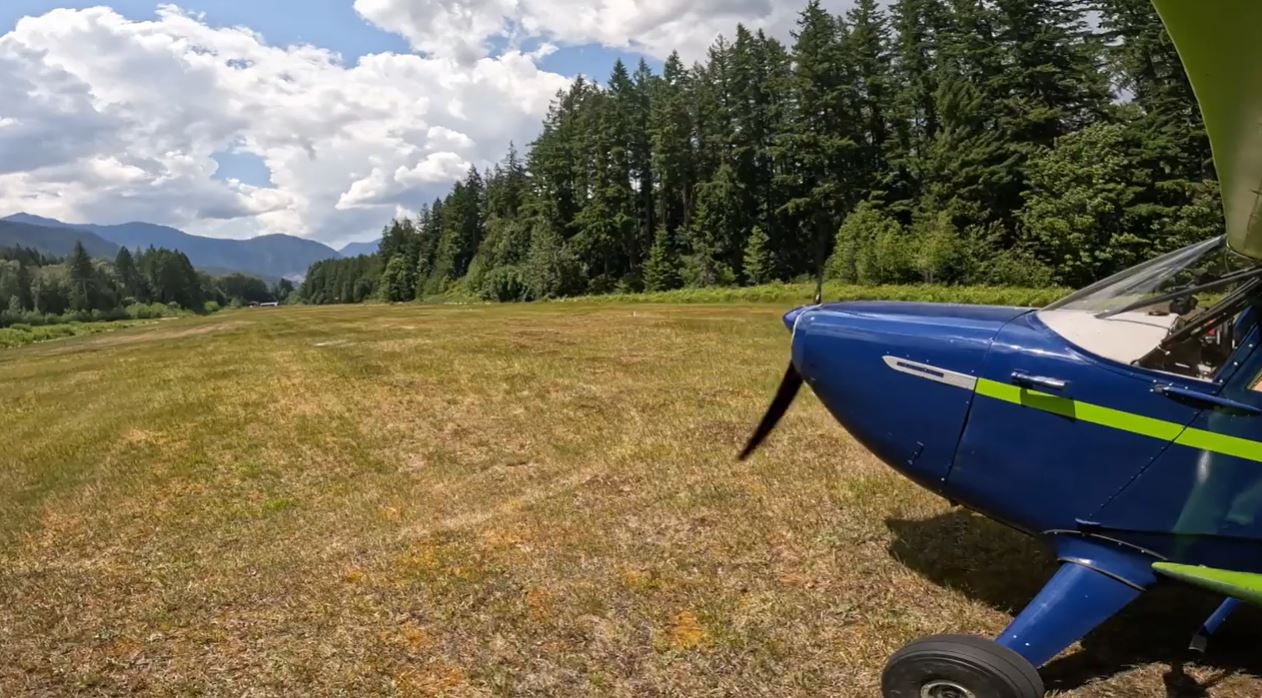 Grass Strip Landings with a Pro