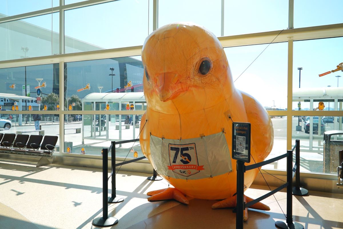 Chicks Take Over San Jose Mineta International