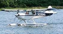 husky_5.jpg
