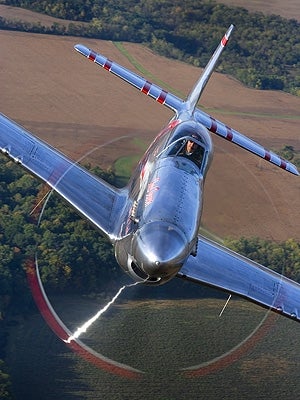Mustang-P-51-018.jpg