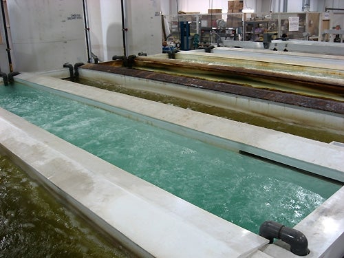 fl0209_kodiakfactory_003.jpg