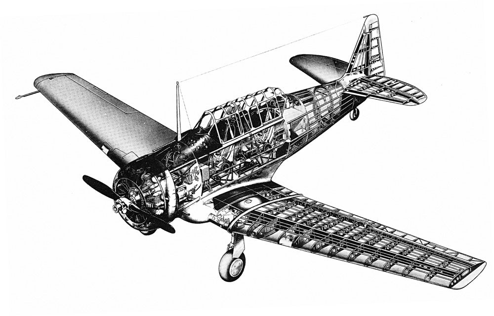 fly0811_dig_texan1.jpg