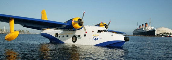 Albatross