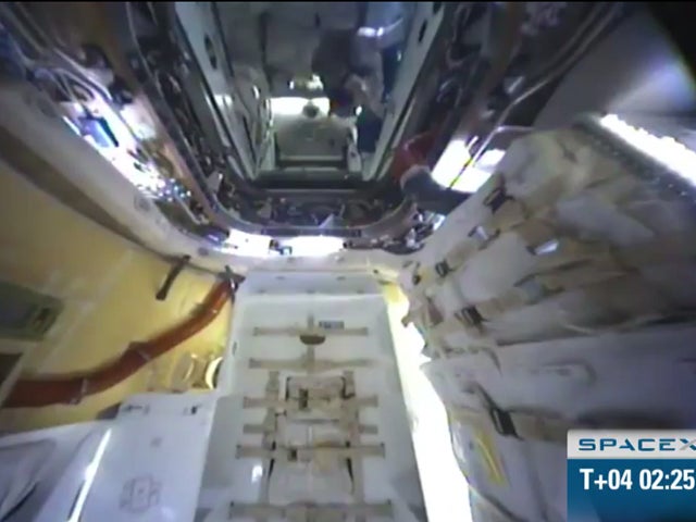 SpaceX Dragon