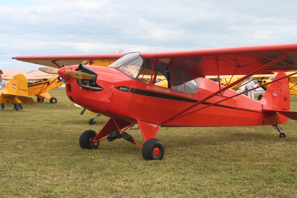 piper1.jpg