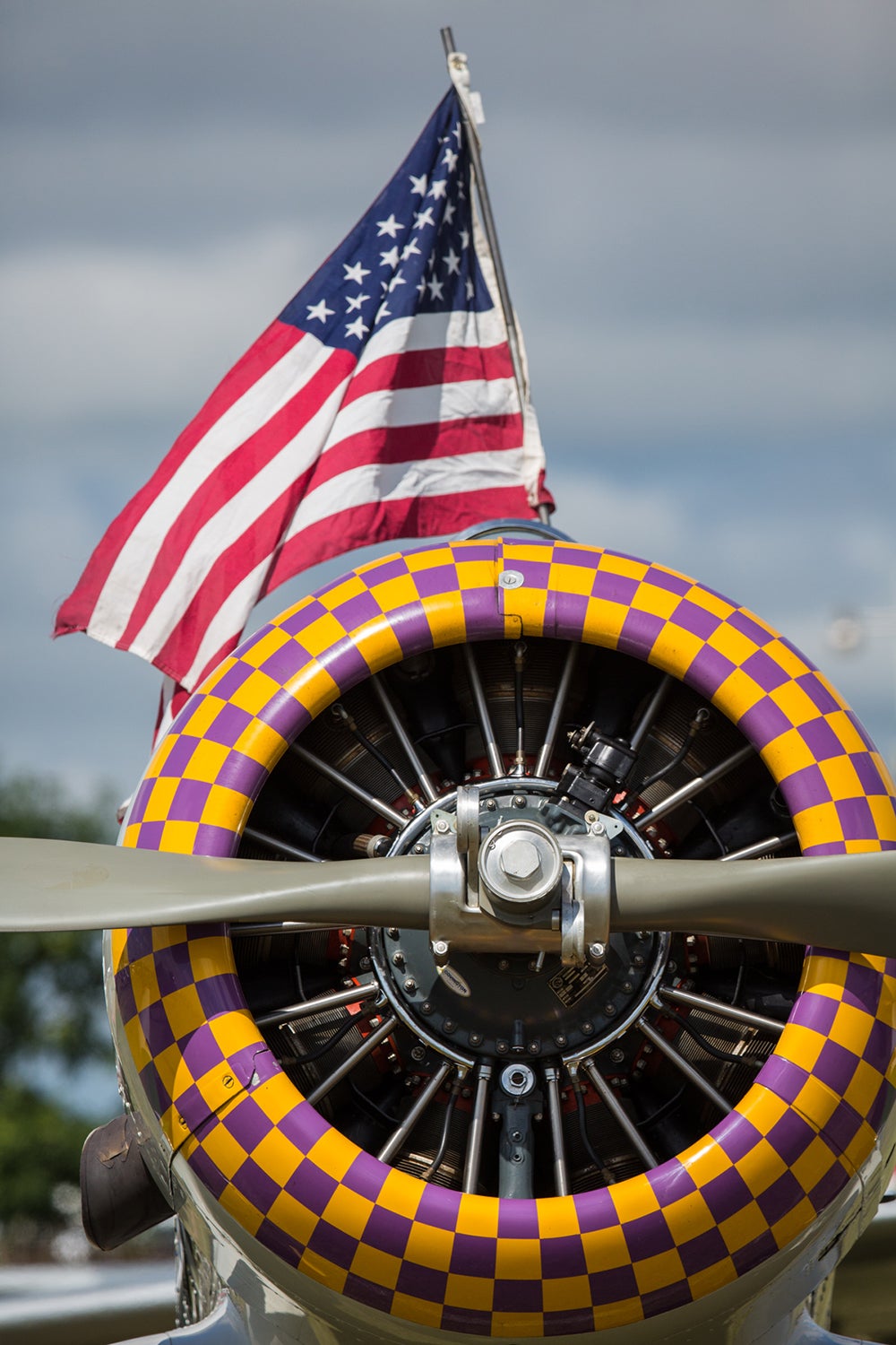 t-6-and-flag.jpg