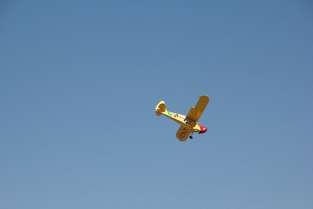 img_9973.jpg