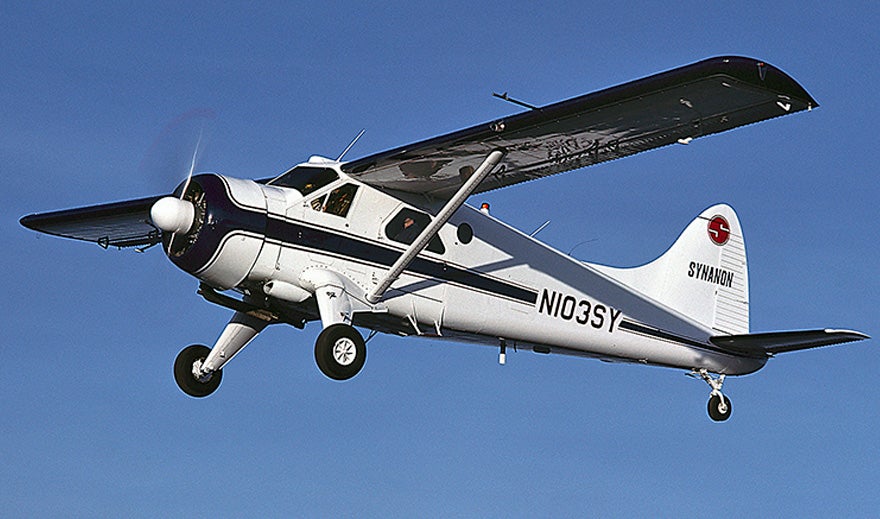 60-dehav_beaver-platinum.jpg
