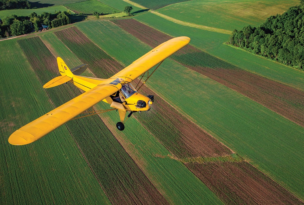 4-piper-cub-platinum.jpg