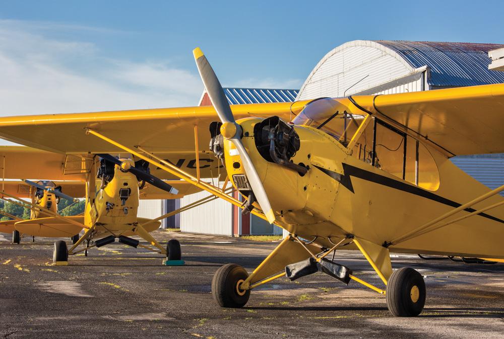 20beautiful-pipercub.jpg
