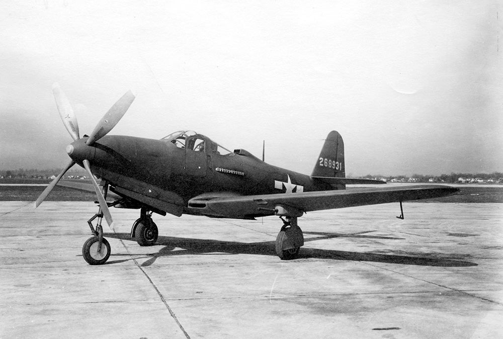 10stillflying-kingcobra-01-1.jpg