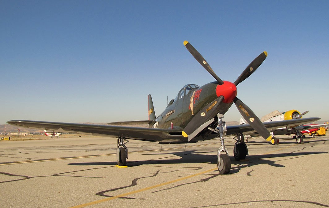 10stillflying-kingcobra-02.jpg