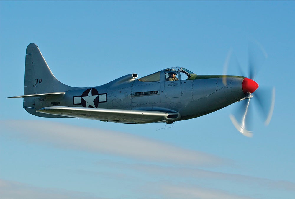 10stillflying-kingcobra-03.jpg