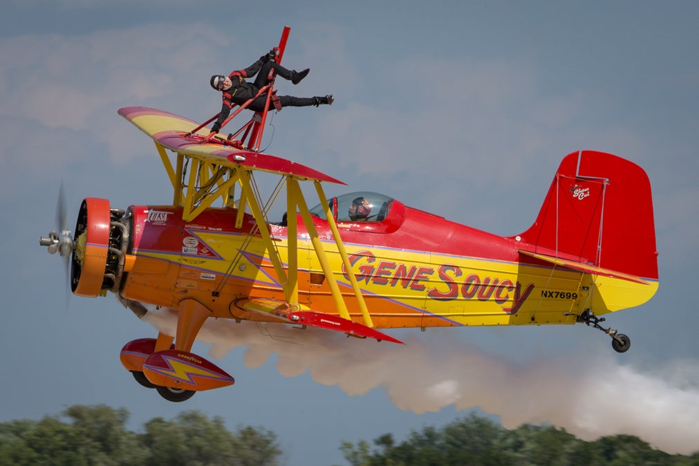 osh15-jv-gene-soucy-teresa-stokes-show-cat.jpg