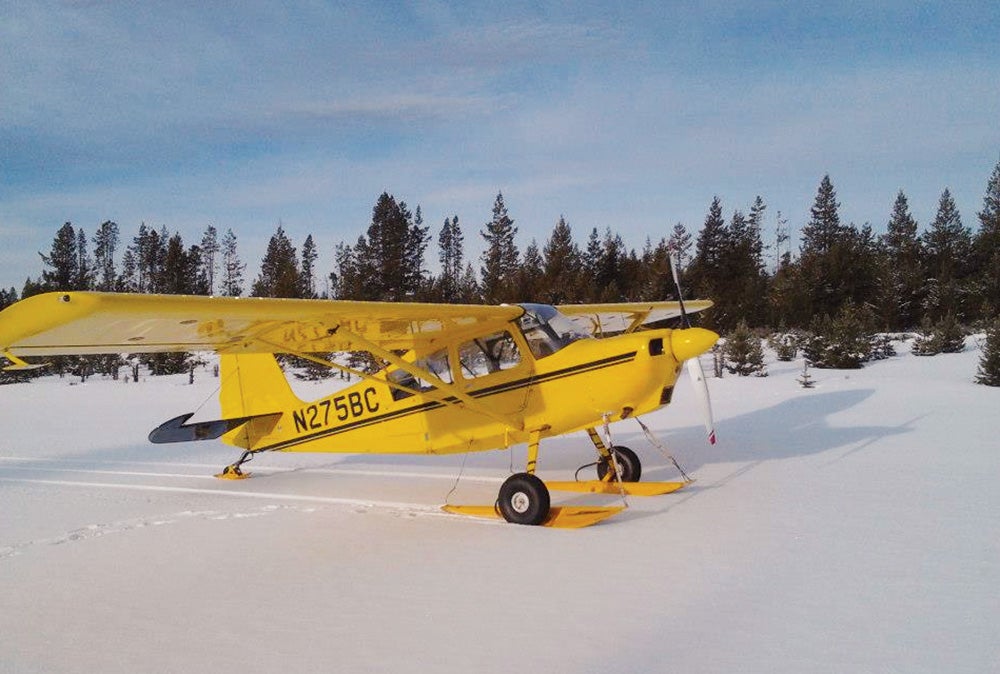 fly0815-vs-american-champion-scout.jpg