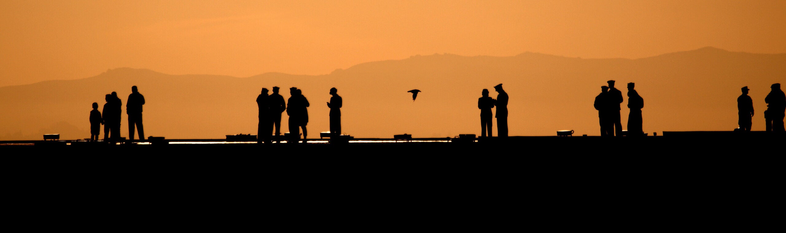 San Francisco Fleet Week 2015