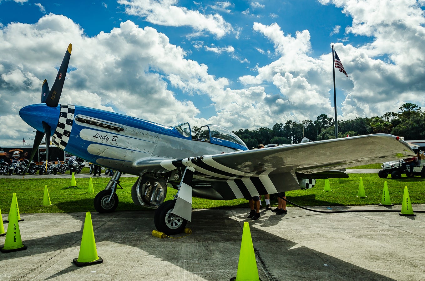 when-pigs-fly-south-002.jpg