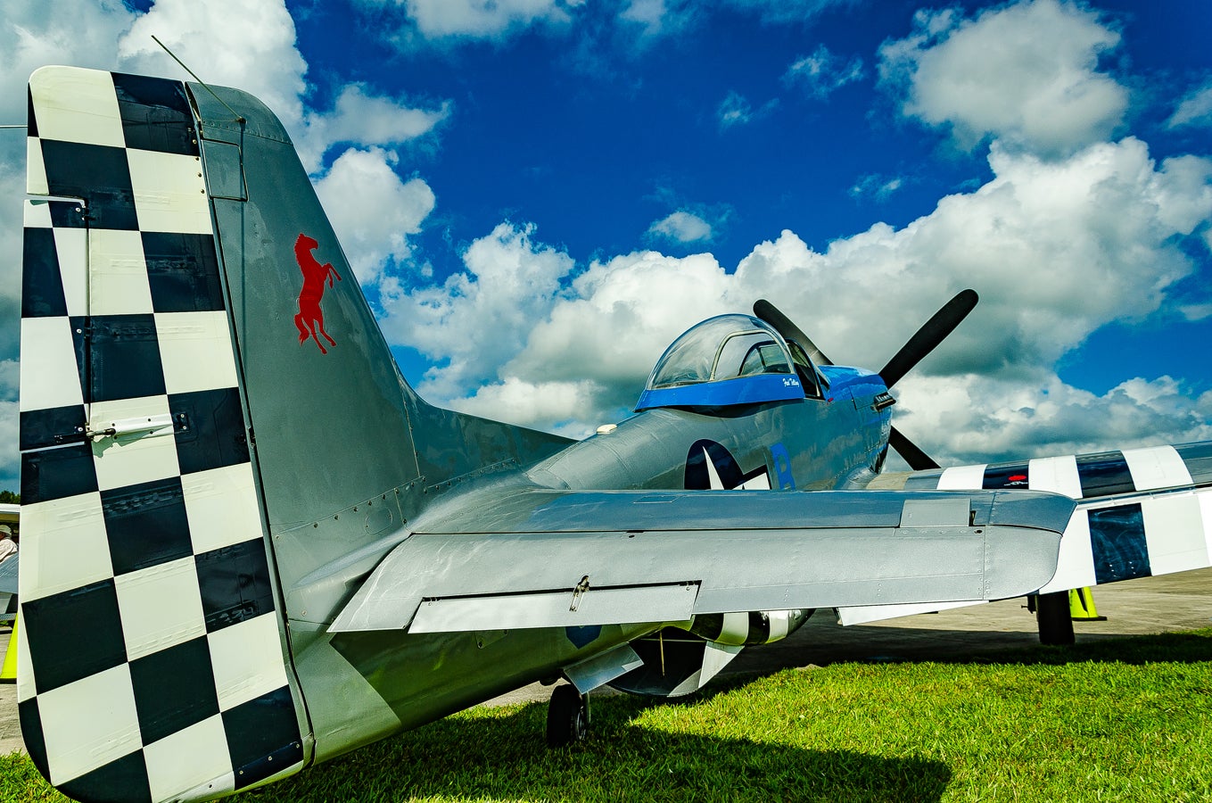 when-pigs-fly-south-003.jpg
