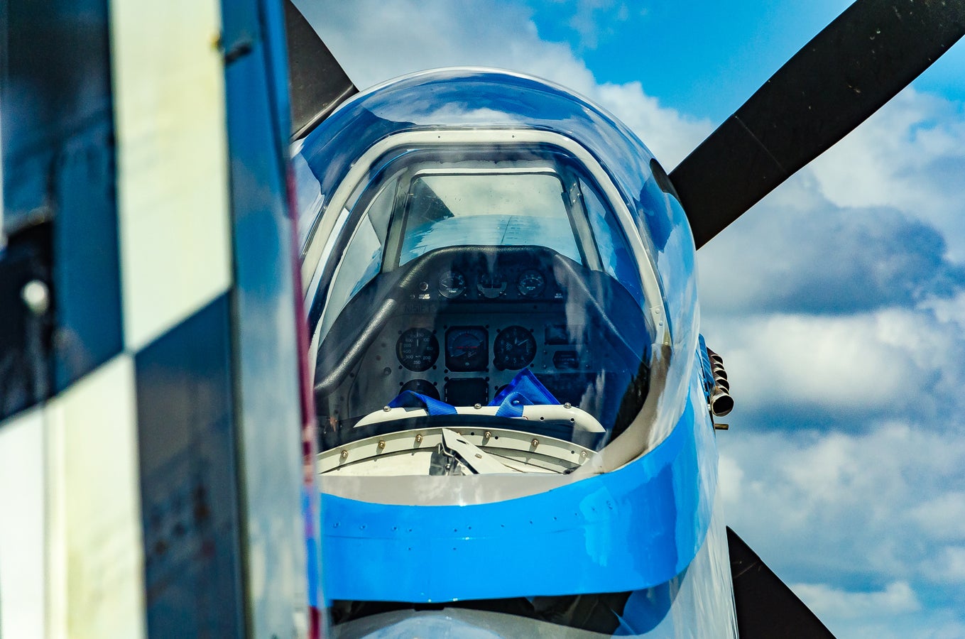 when-pigs-fly-south-004.jpg