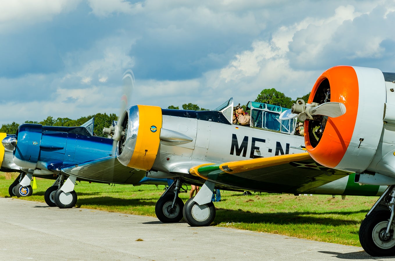 when-pigs-fly-south-005.jpg