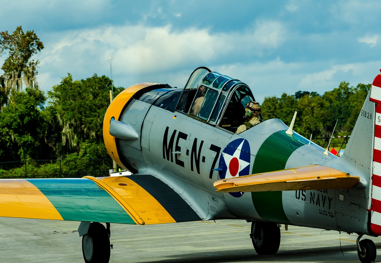 when-pigs-fly-south-006.jpg