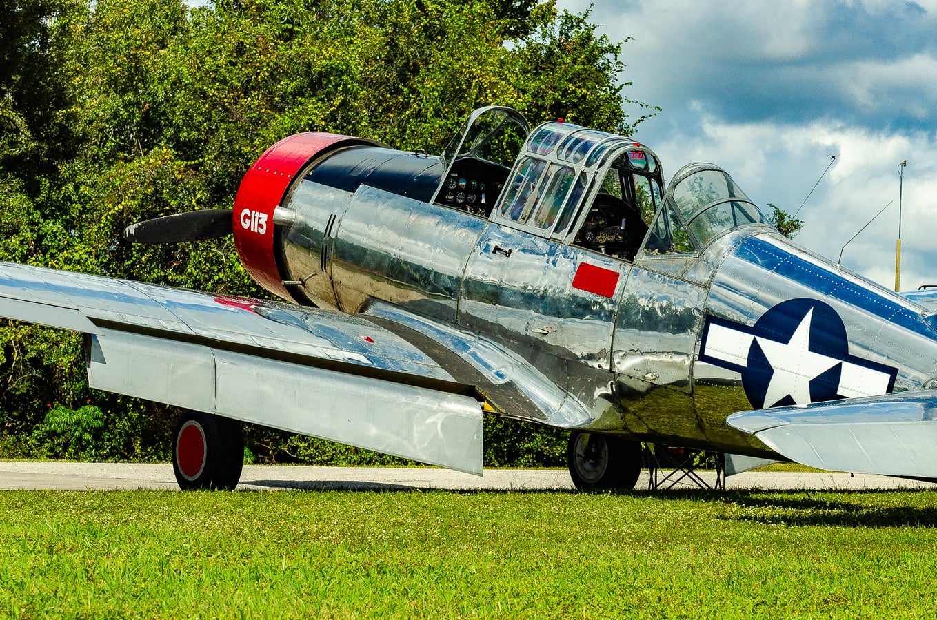 when-pigs-fly-south-008.jpg