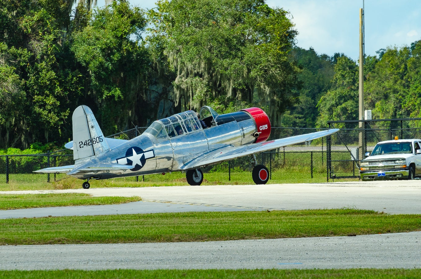 when-pigs-fly-south-011.jpg