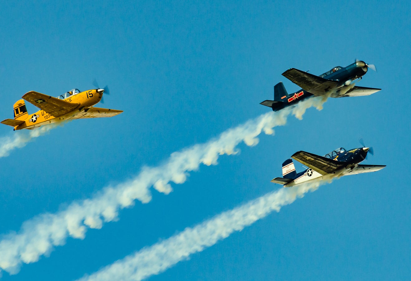 when-pigs-fly-south-015.jpg