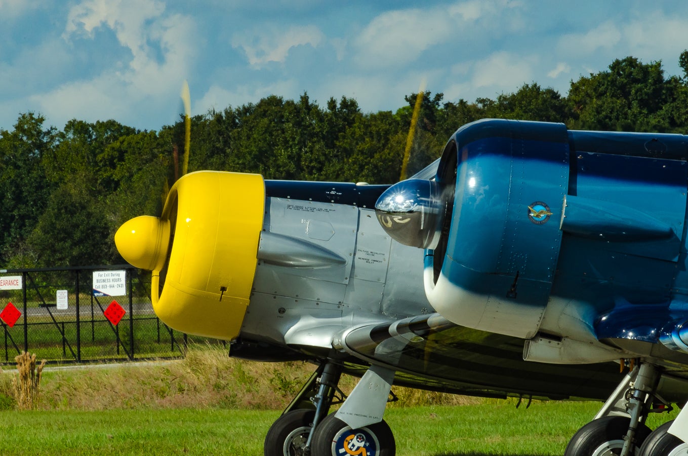 when-pigs-fly-south-017.jpg