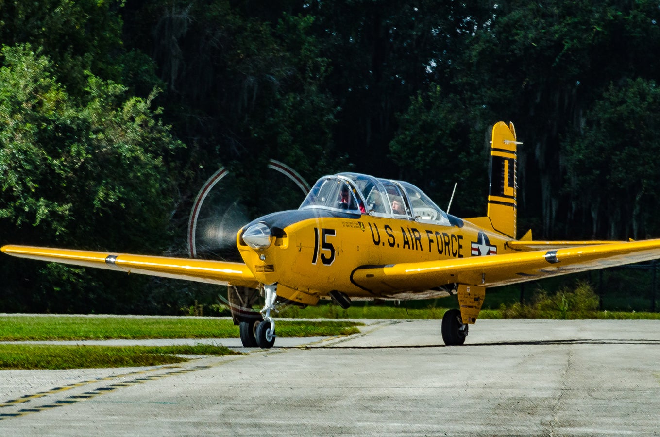 when-pigs-fly-south-020.jpg