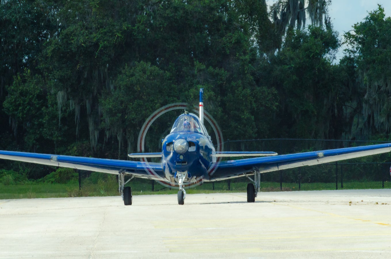 when-pigs-fly-south-021.jpg