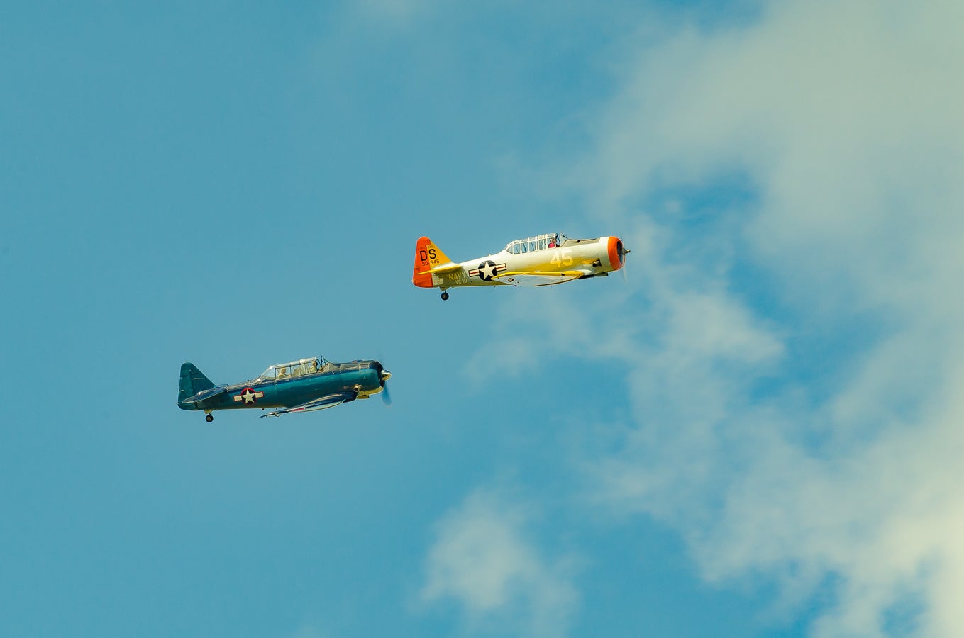 when-pigs-fly-south-022.jpg