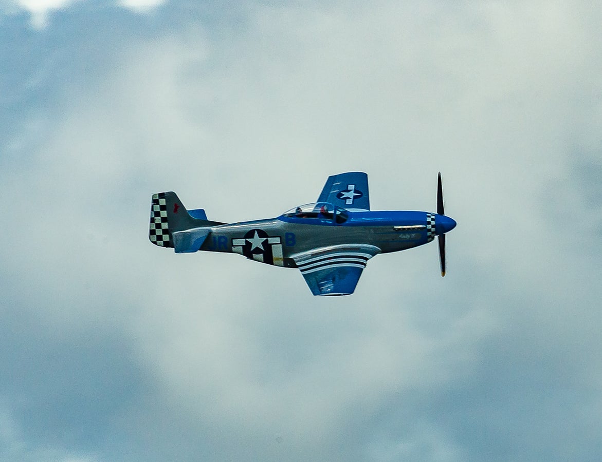 when-pigs-fly-south-023.jpg