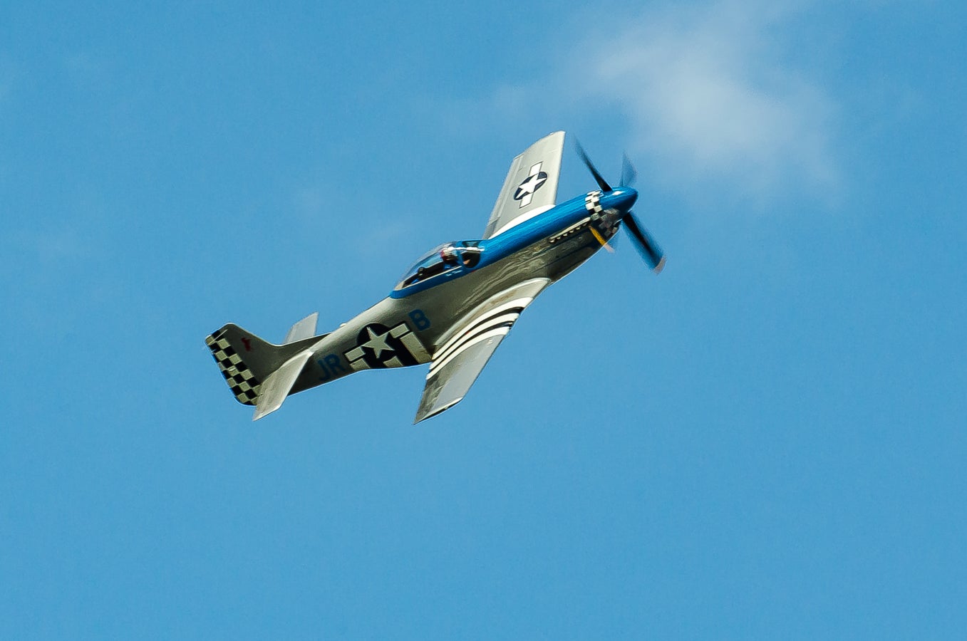 when-pigs-fly-south-024.jpg