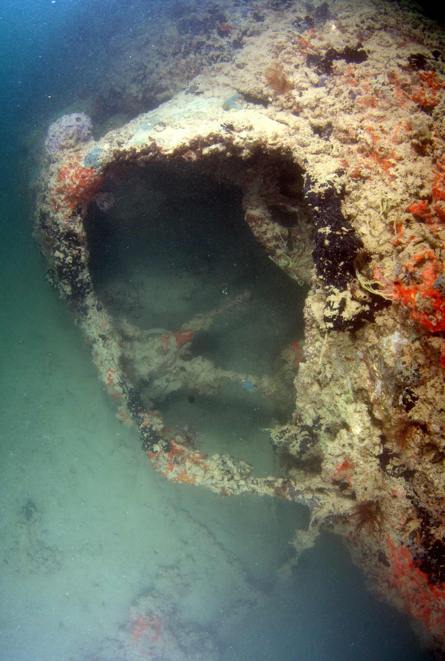 Sunken Wreck of PBY-5 Catalina