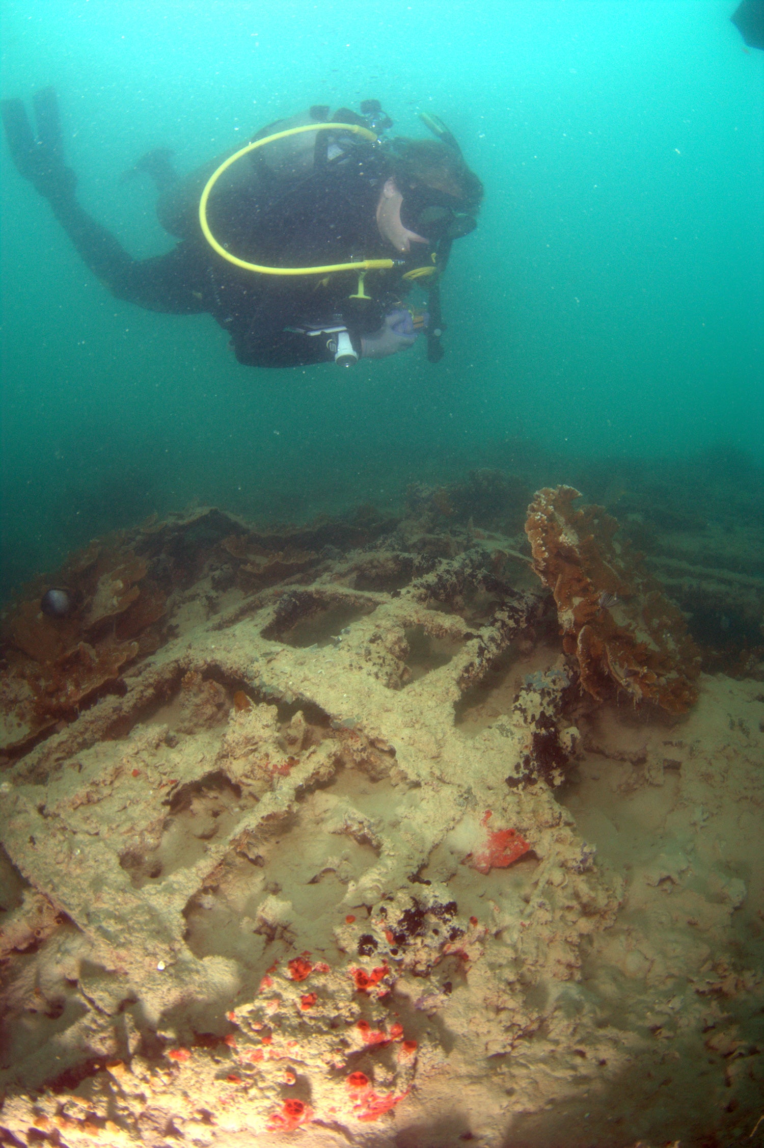 Sunken Wreck of PBY-5 Catalina