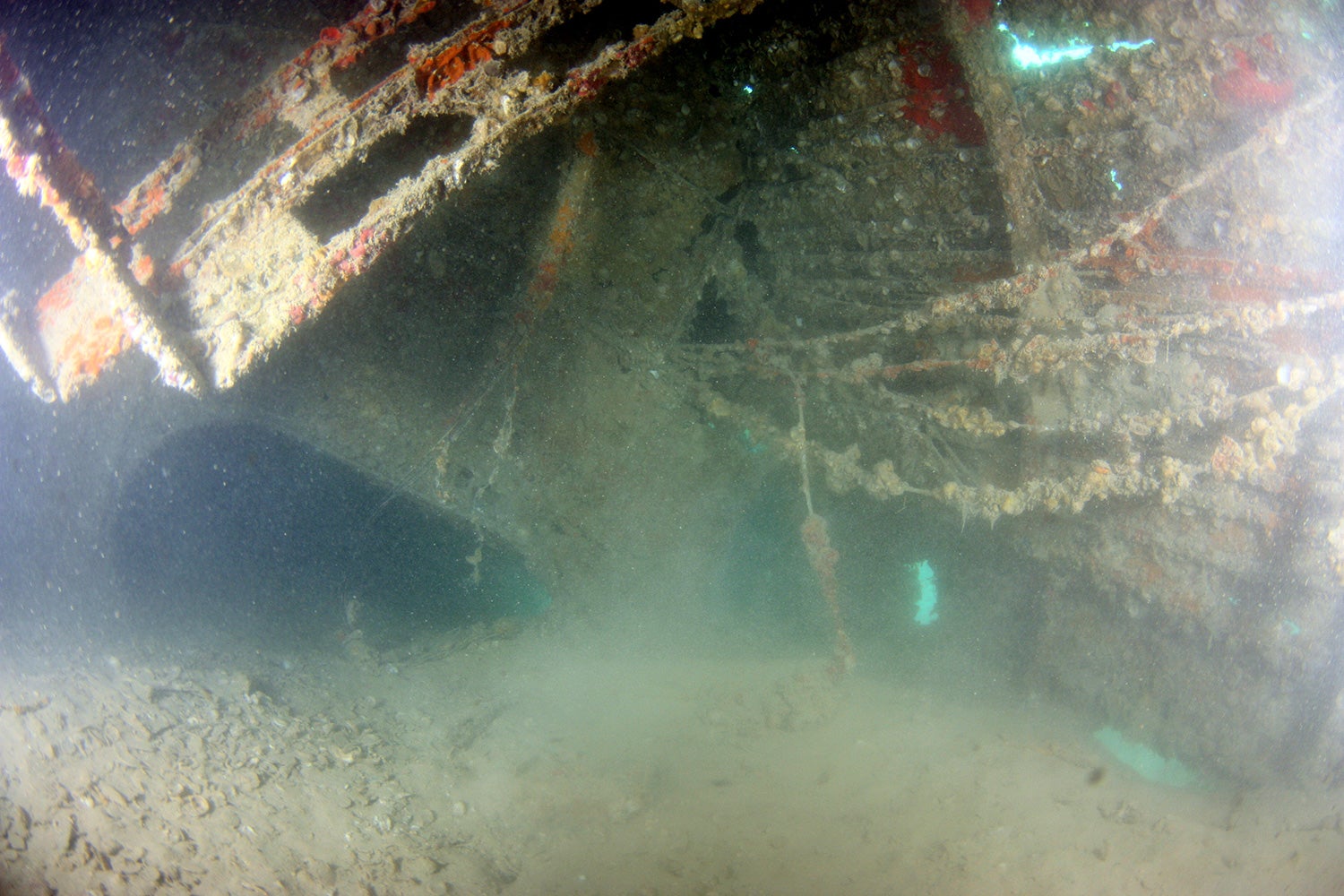Sunken Wreck of PBY-5 Catalina