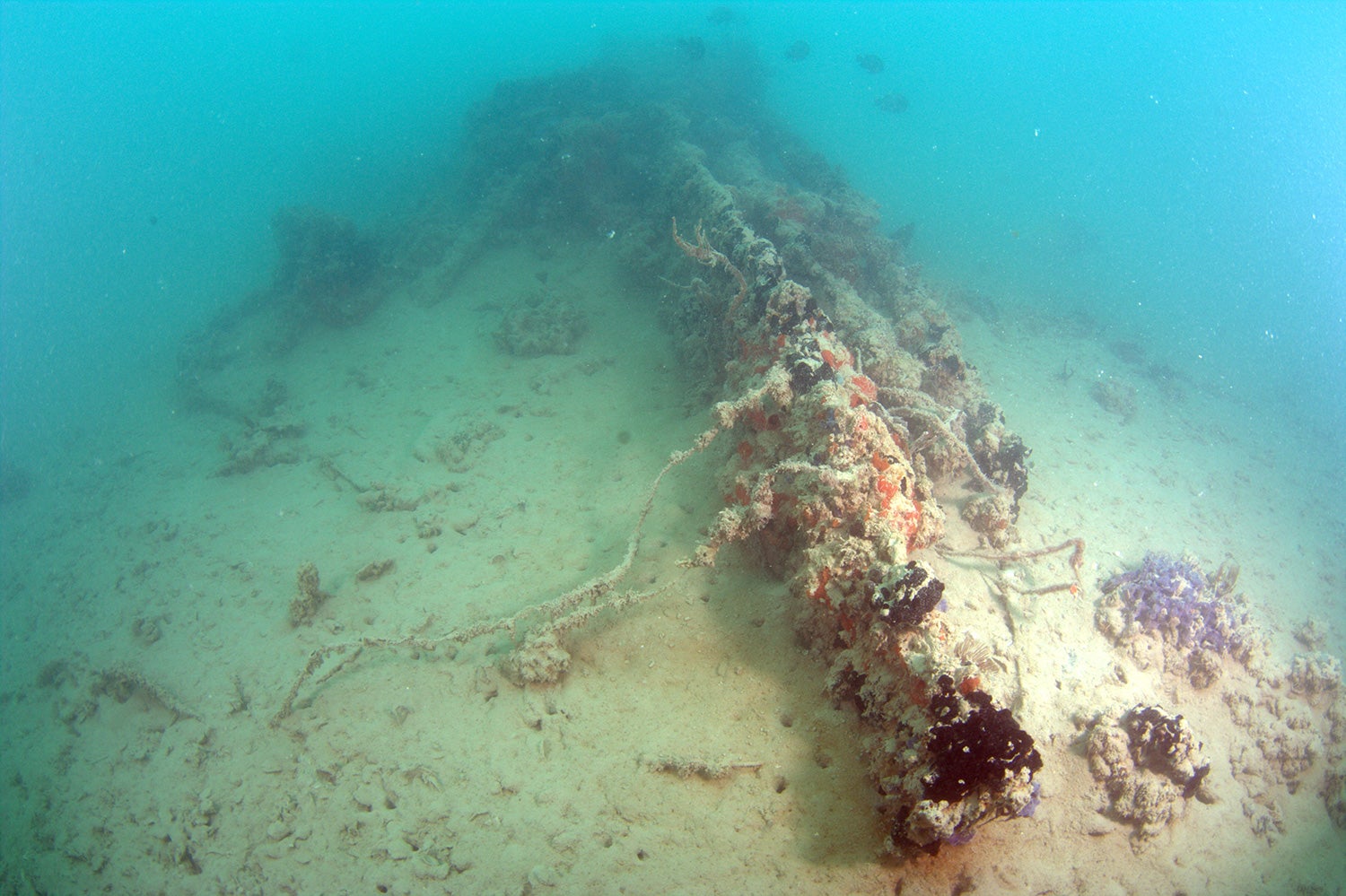 Sunken Wreck of PBY-5 Catalina