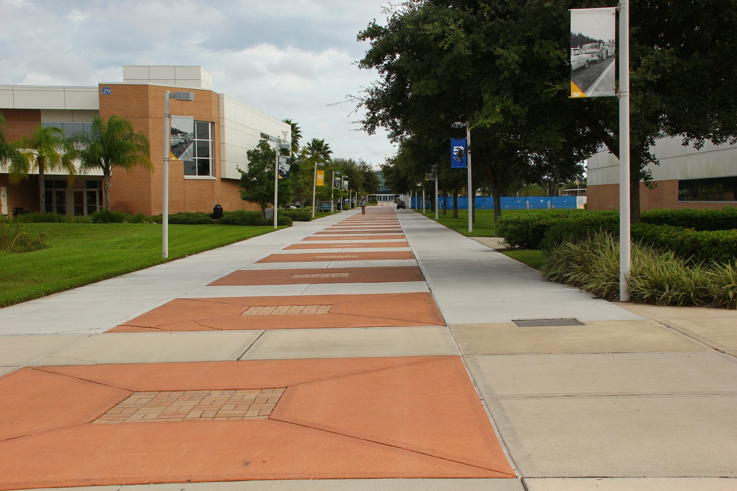 Embry-Riddle Alumni Fly-In