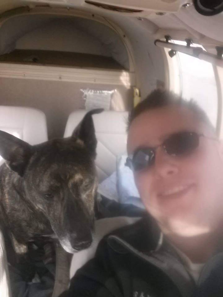 Dogs in Airplanes