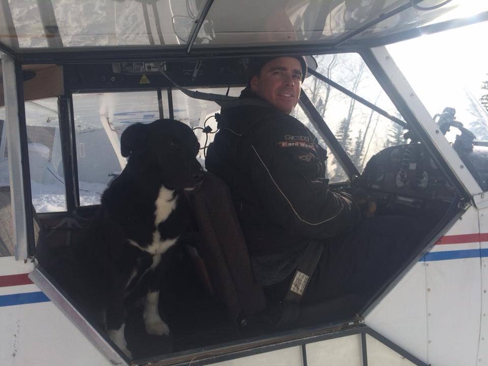 Dogs in Airplanes